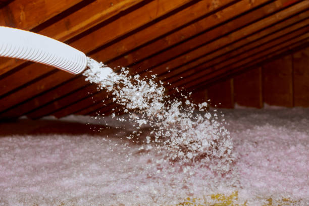 Best Insulation Repair Services  in Meadowdale, WA