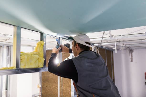 Best Insulation Removal  in Meadowdale, WA