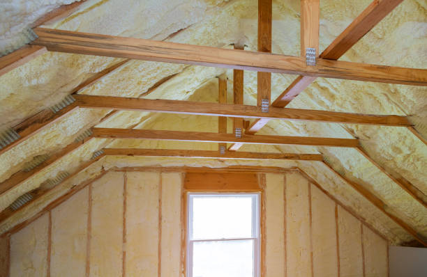 Best Cellulose Insulation  in Meadowdale, WA