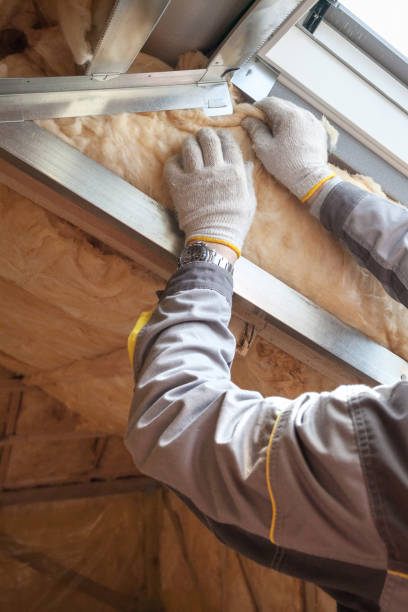 Best Attic Insulation Installation  in Meadowdale, WA
