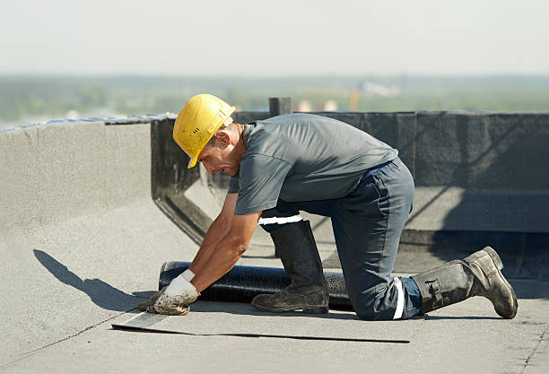Best Best Insulation Companies  in Meadowdale, WA