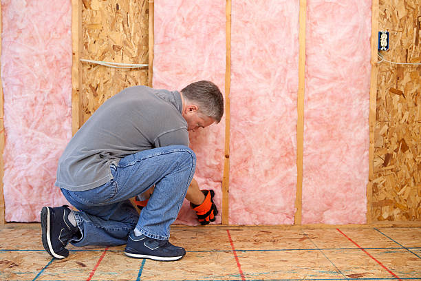 Best Commercial Insulation Contractor  in Meadowdale, WA